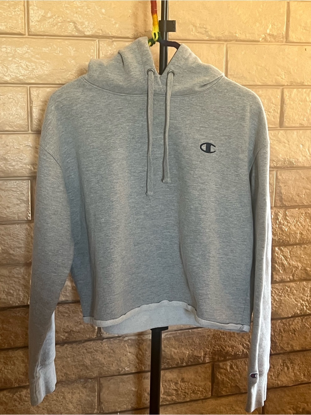 Champion Gray Cropped Hoodie with Logo
